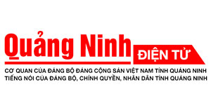 đánh bài trực tuyến Quảng Ninh chơi thử